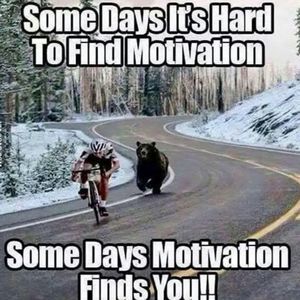 Meet your Posher, Alice